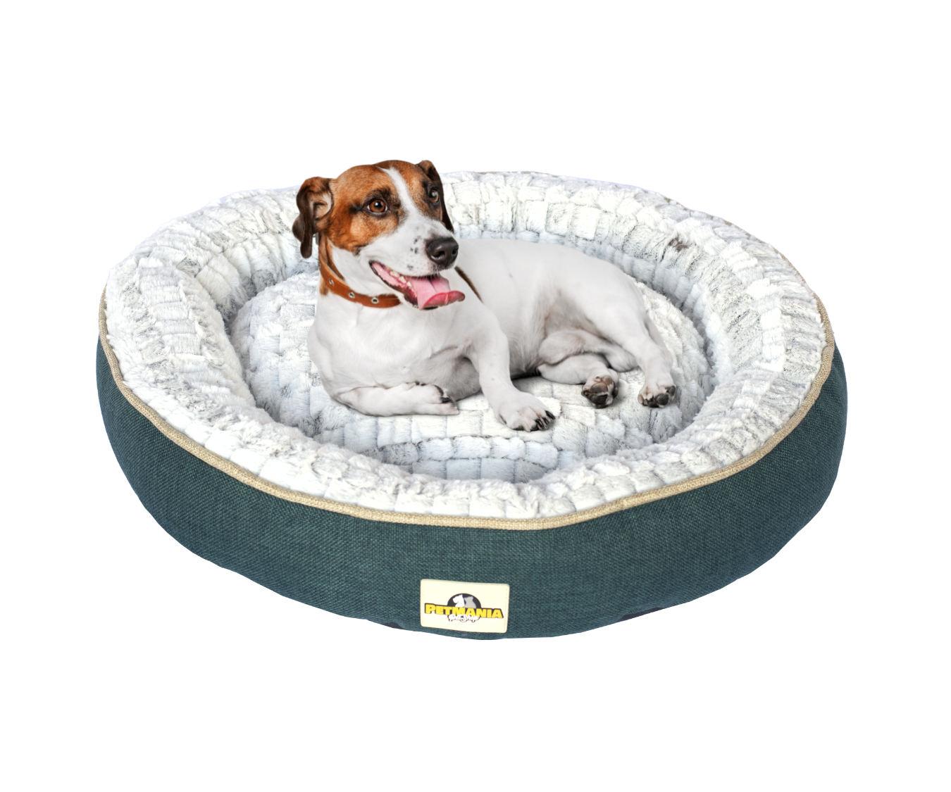CAMA LUXURY verde oscuro talla M